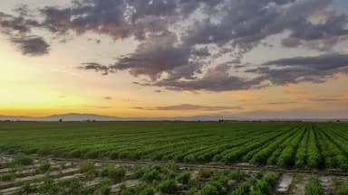Farmville Sunset
#photography #Landscapes #landscapephotography #nature #natural #mountains #farmscape #farm #fields #Sunset #wow #instapic #Sunsetlovers #clouds #nuves #nuvole #landscape_captures #paisaje #sky #foto #fotó #FotoDelDia #FOTD #PhotoOfTheDay #photo #abc7eyewitness