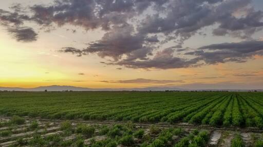 Farmville Sunset
#photography #Landscapes #landscapephotography #nature #natural #mountains #farmscape #farm #fields #Sunset #wow #instapic #Sunsetlovers #clouds #nuves #nuvole #landscape_captures #paisaje #sky #foto #fotó #FotoDelDia #FOTD #PhotoOfTheDay #photo #abc7eyewitness
