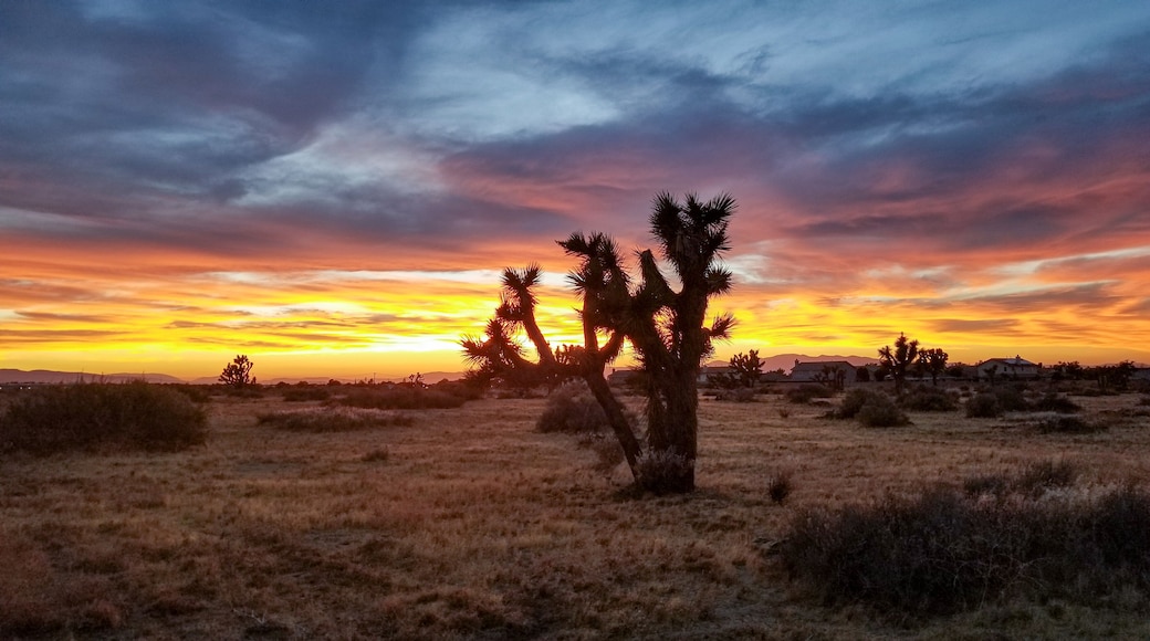 Only in the A.V 3 of 3