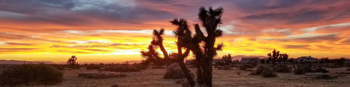 Only in the A.V 3 of 3