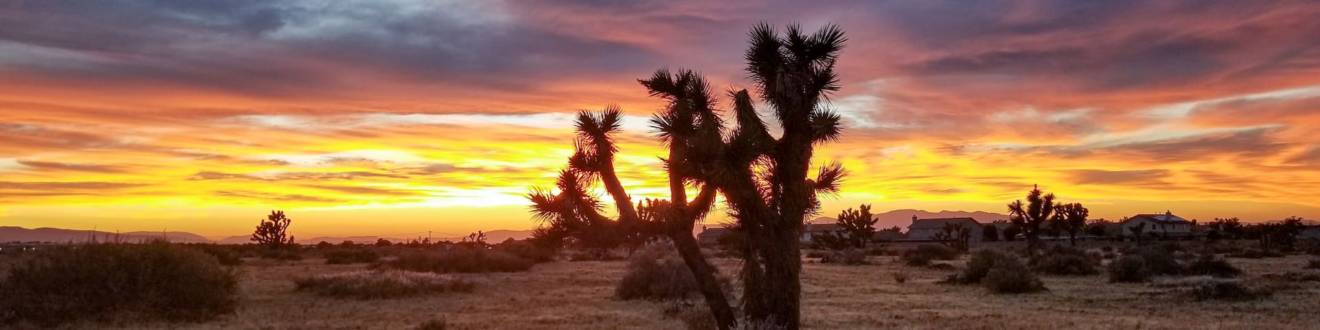 Only in the A.V 3 of 3