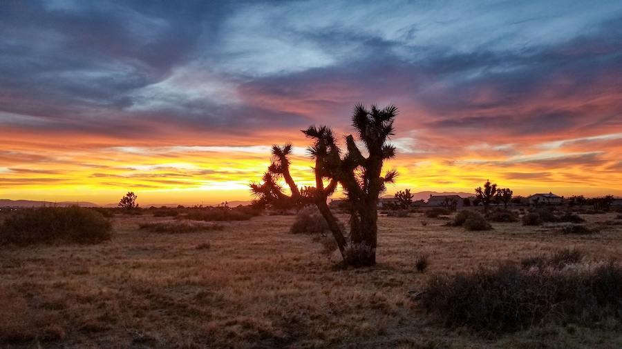 Only in the A.V 3 of 3