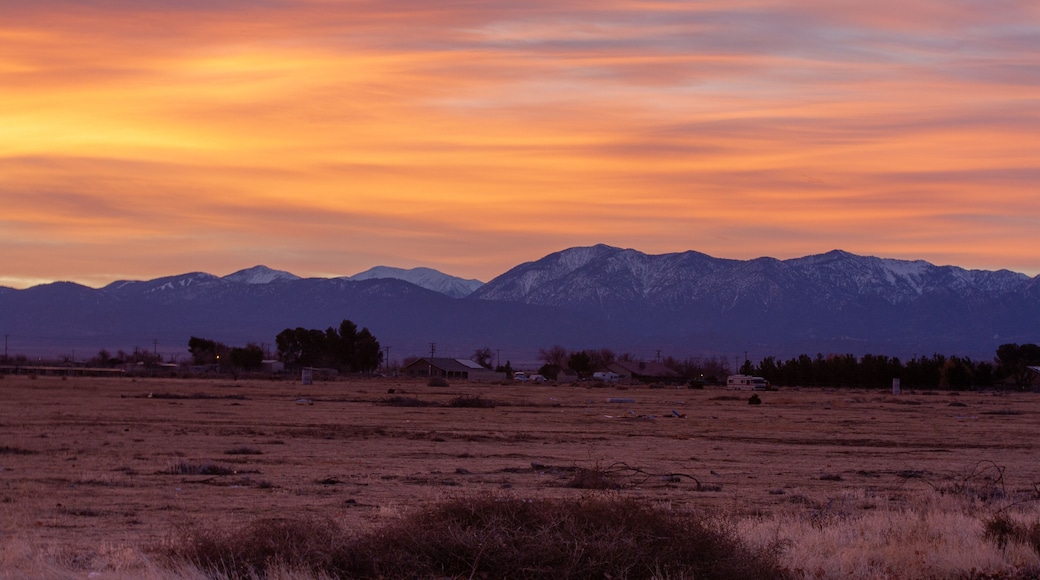 Dreamsicle
#landscape #California #landscapephotography #photography #art #Desert #desertscape #sunrise #dreamy #morning #snow #ice #clouds #nubes #nuvole #mountains #cold #freshcontent #potd #photo #fotó #foto #canonusa #picoftheday #PhotoOfTheDay #pic #AV #abc7eyewitness #nbcla