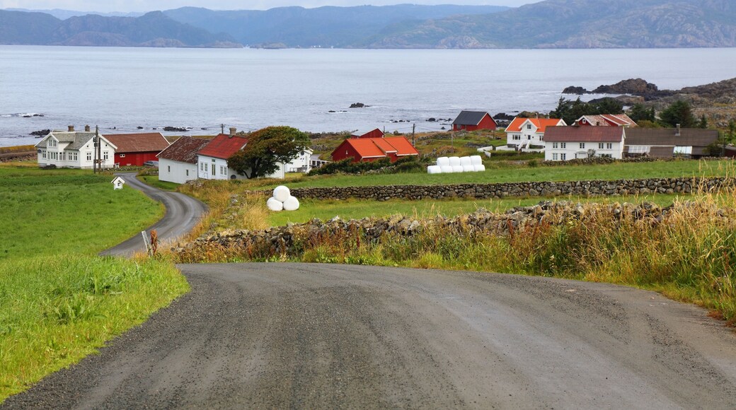 Comtat de Vest-Agder