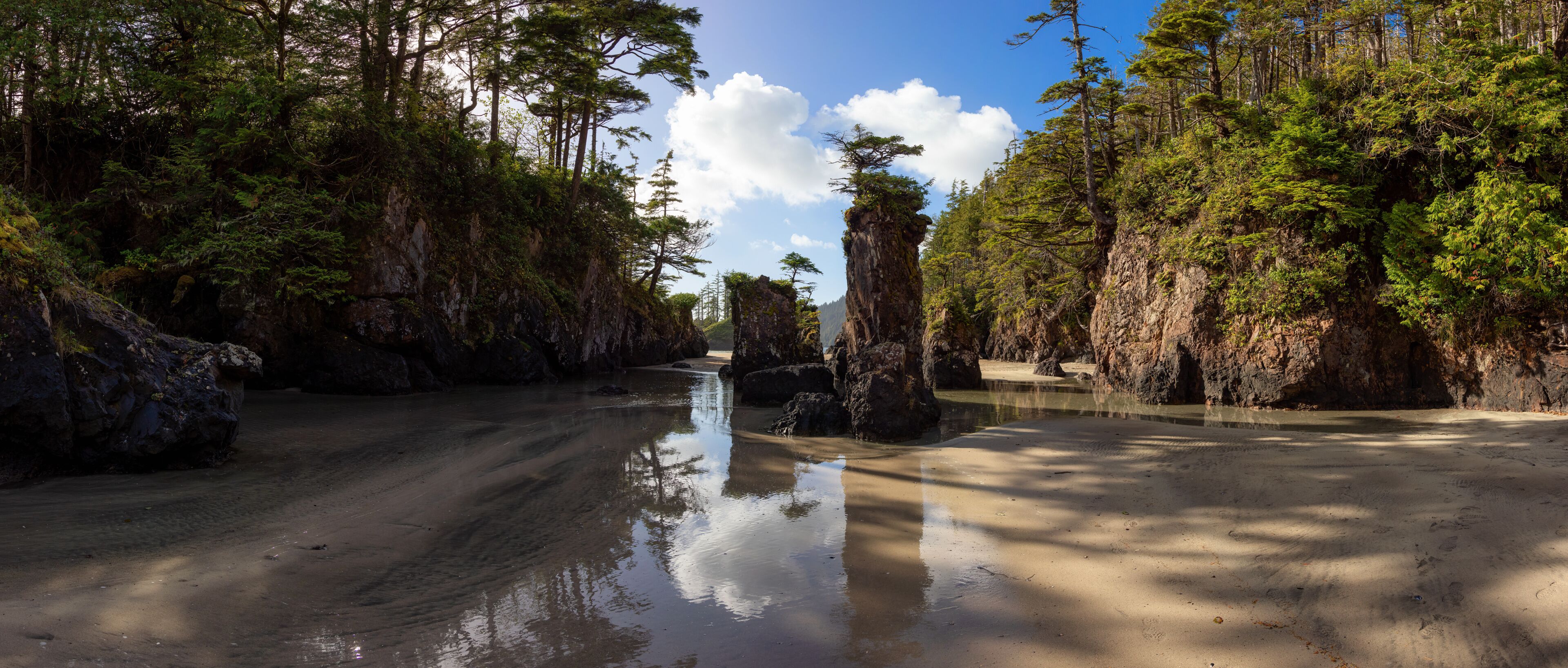Sandy beach on Pacific Ocean Coast Panoramic View. Sunny Blue Sky. San Josef Bay, Cape Scott Provincial Park, Northern Vancouver Island, BC, Canada. Canadian Nature Background Panorama