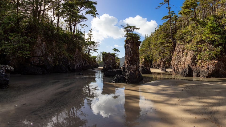 A forested area with a sandy path, a reflective water body, and a prominent rock formation.