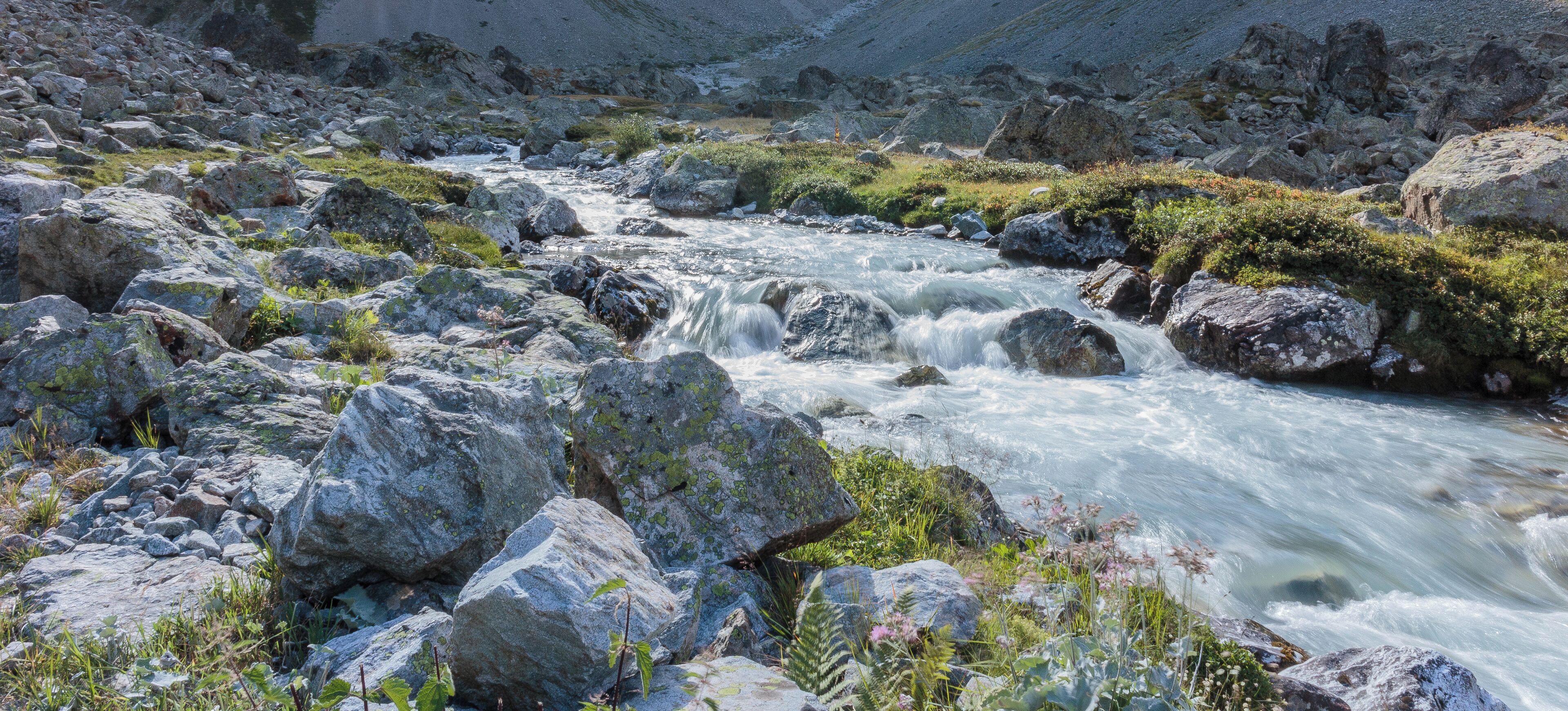 Overhead (near the source) of the Romanche in Ecrins National Park, France (2100 m.)