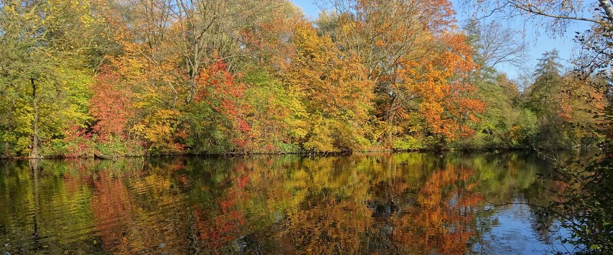 Nice reflection of the fall color palette.