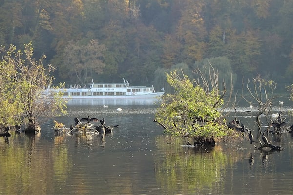 Autumn walk around the lake. (An ideal place for bird spotting.)
