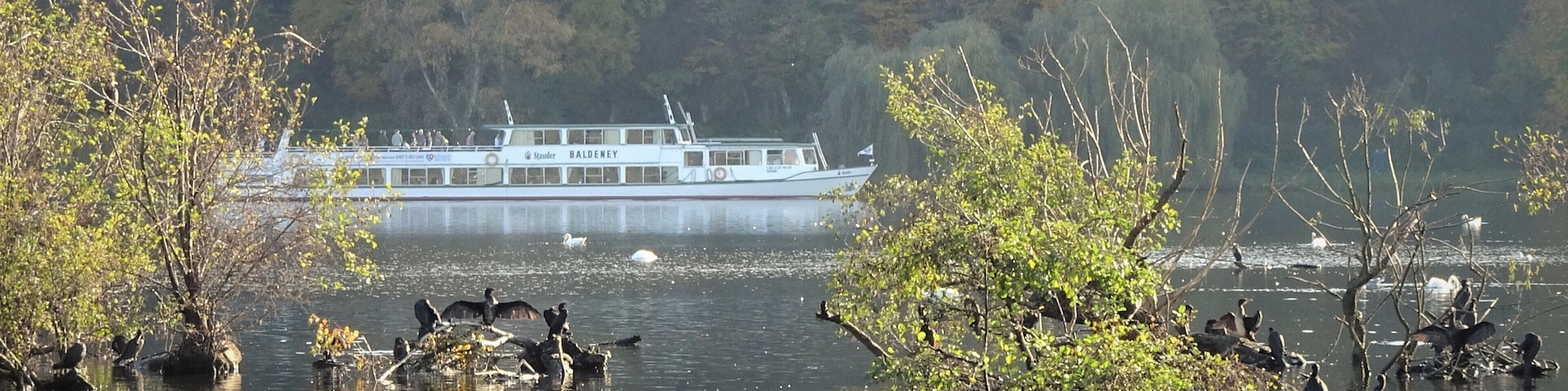Autumn walk around the lake. (An ideal place for bird spotting.)