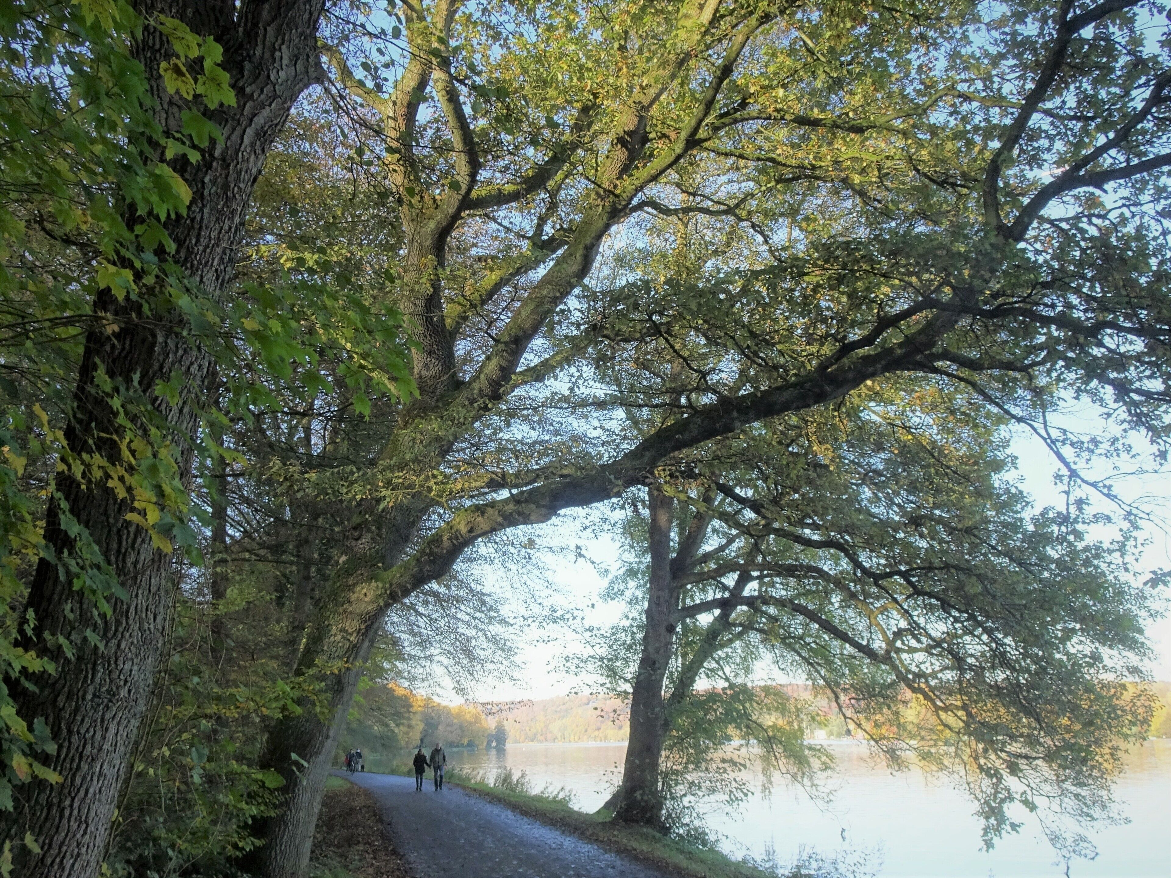 Autumn walk around the lake.