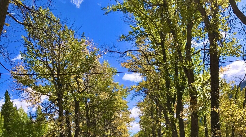 Main Street of Old mining town.....Vicksburg Colorado