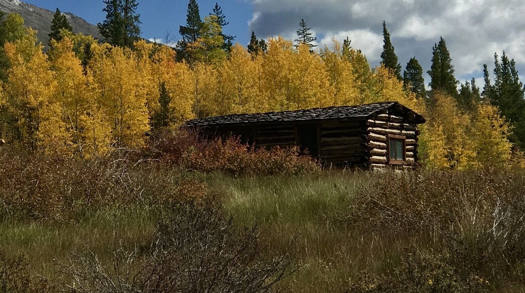 Ball cabin circa 1880.