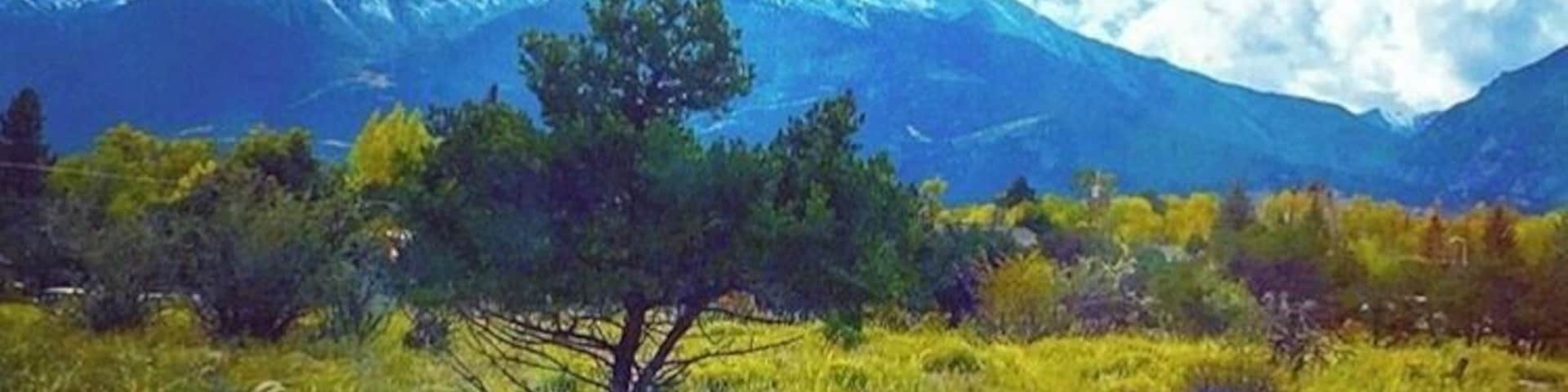 Paisagem montanhosa com uma árvore solitária em primeiro plano e picos nevados ao fundo.