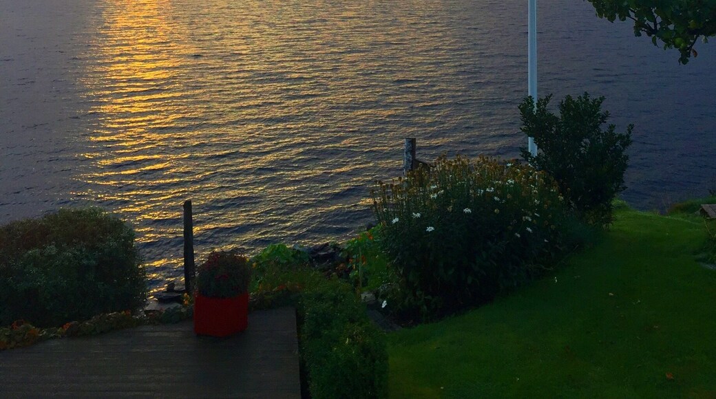 Morning view from a cabin on the island Ombo in Rogaland, Norway.
One can just sit and breath in the view. If you are lucky you can spot Porpoises ( even Orcas has ventured passed chasing Herring)