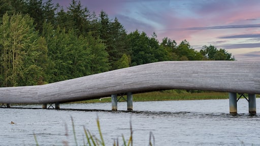 Beautiful nature and hiking trips at Midgardsormen wooden bridge.