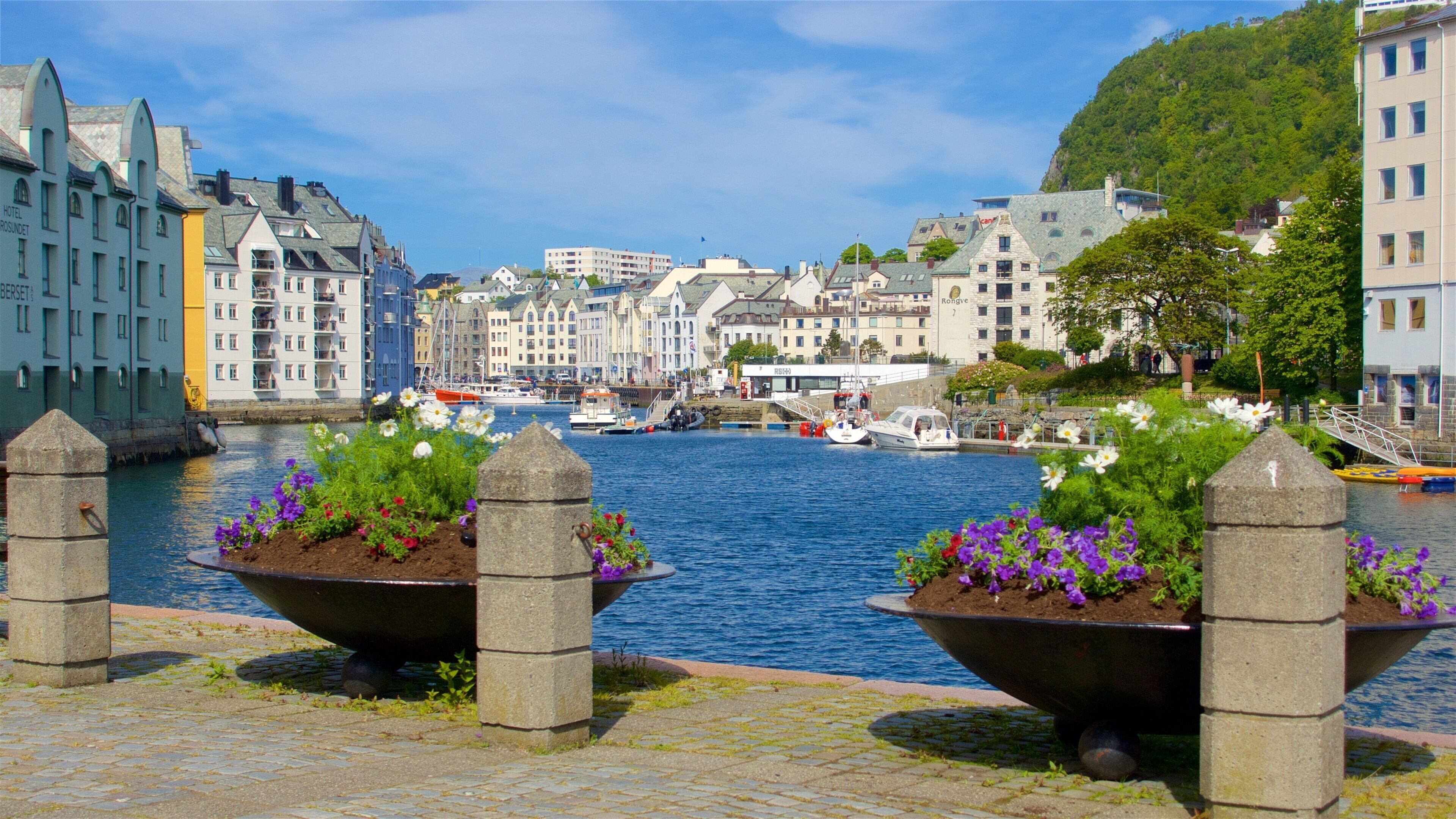 Alesund - 默勒魯姆斯達爾 呈现出 花卉 和 河流或小溪