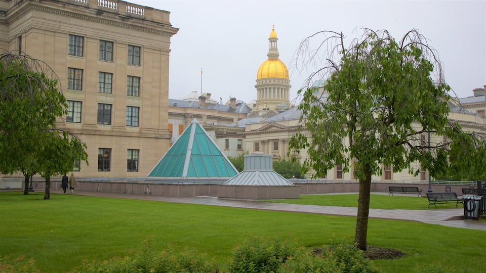 A green lawn with a large building and a golden dome in the background.