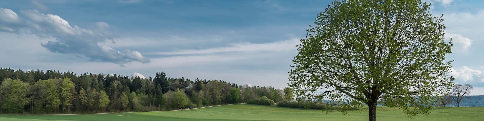 Spring fields in the Swiss village of Opfikon