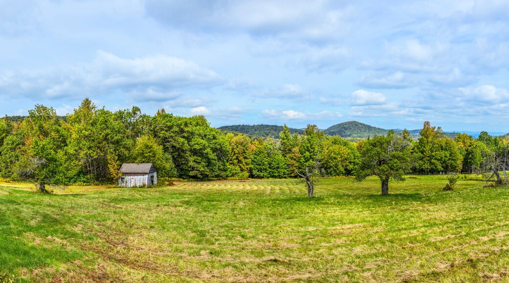 scenic landscape in the green mountains in Vermont