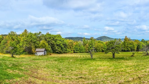 scenic landscape in the green mountains in Vermont