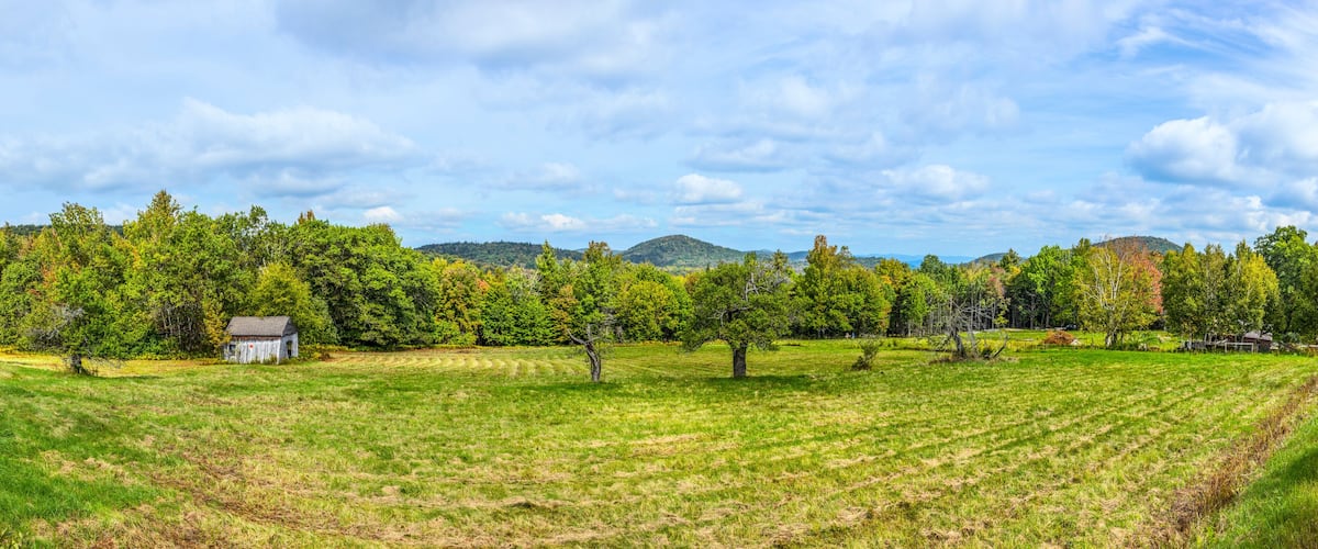 A rural landscape with a grassy field, a small wooden structure, and a forested hill in the background.