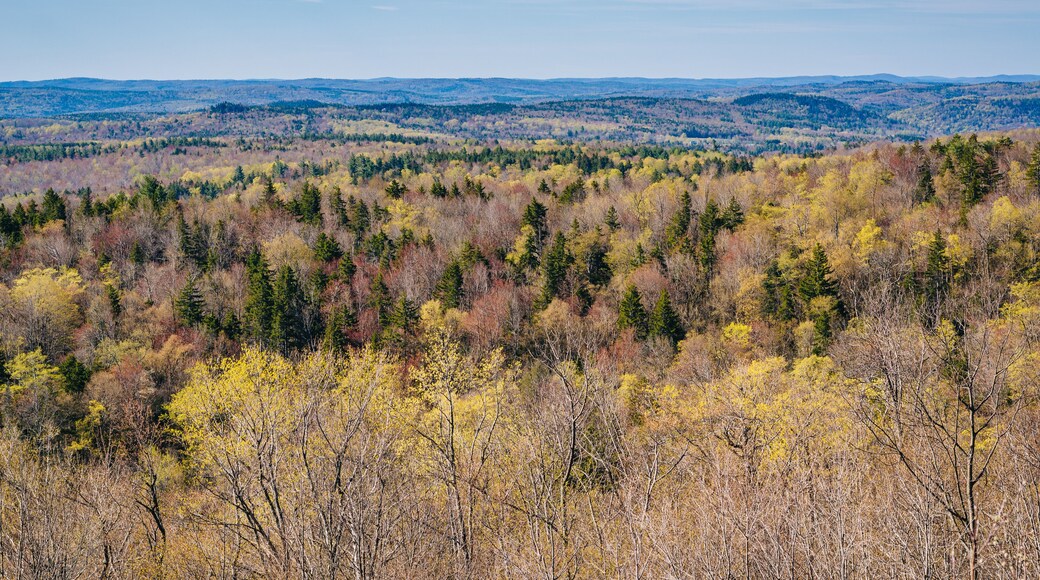 View from Hogback Mountain in Marlboro, Vermont.