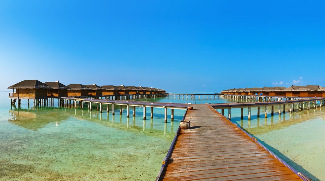 Bungalows on tropical Maldives island