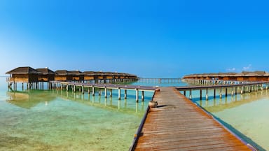 Bungalows on tropical Maldives island