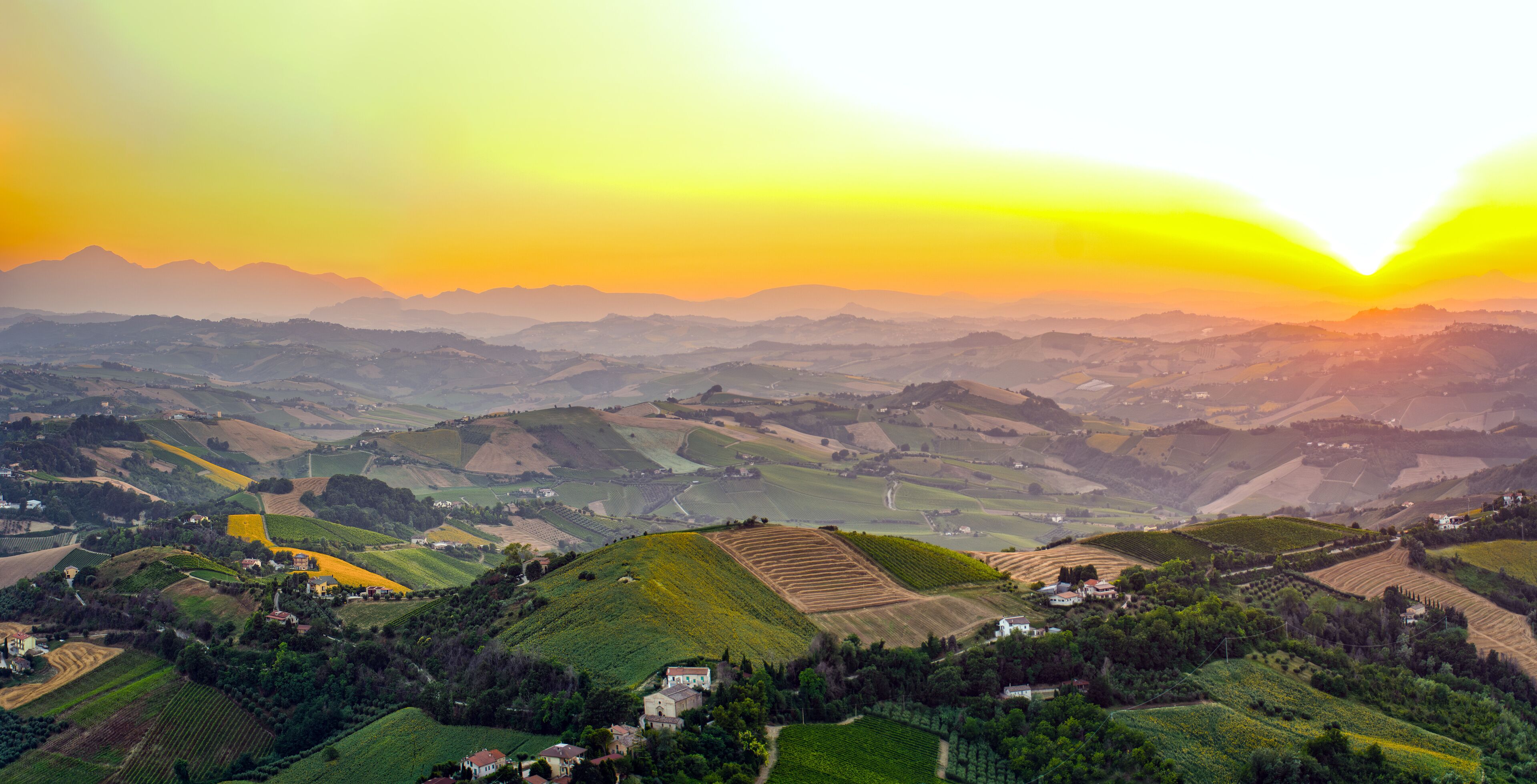 ريباترونسوني