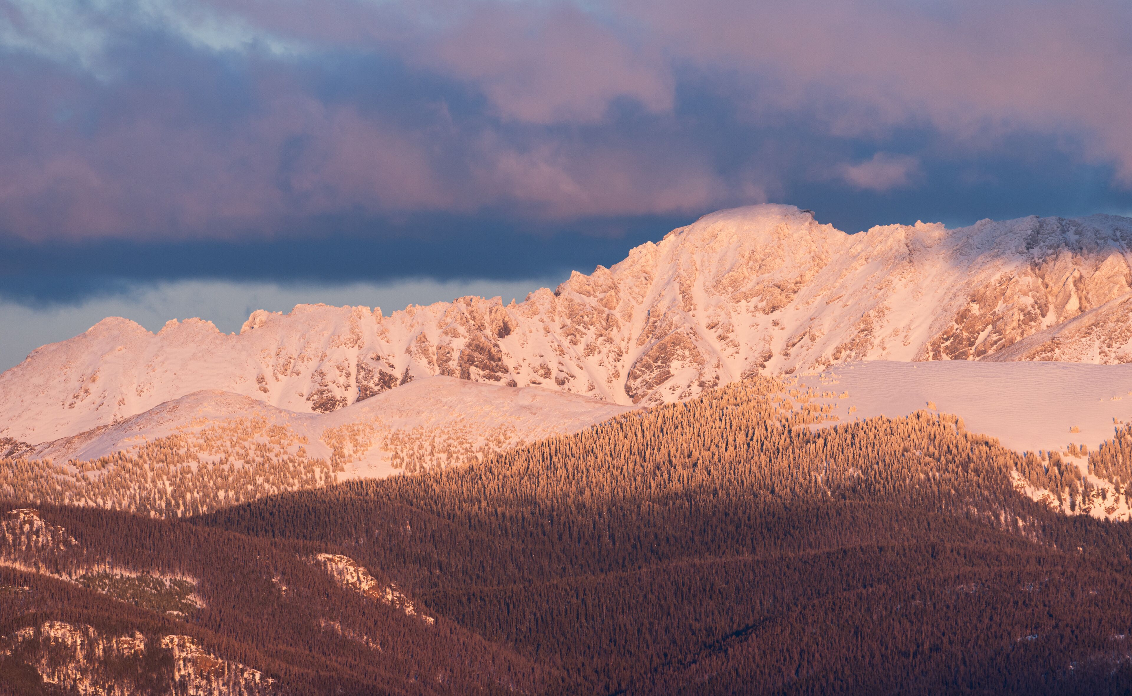 A snow-covered mountain range with a forested valley.