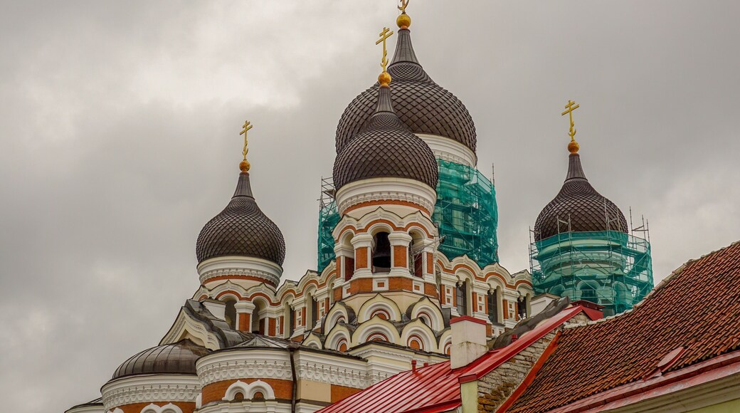 Closer view of the striking cupolas of the Alexander Nevsky Cathedral, Tallin, Estonia (Aug 2014).