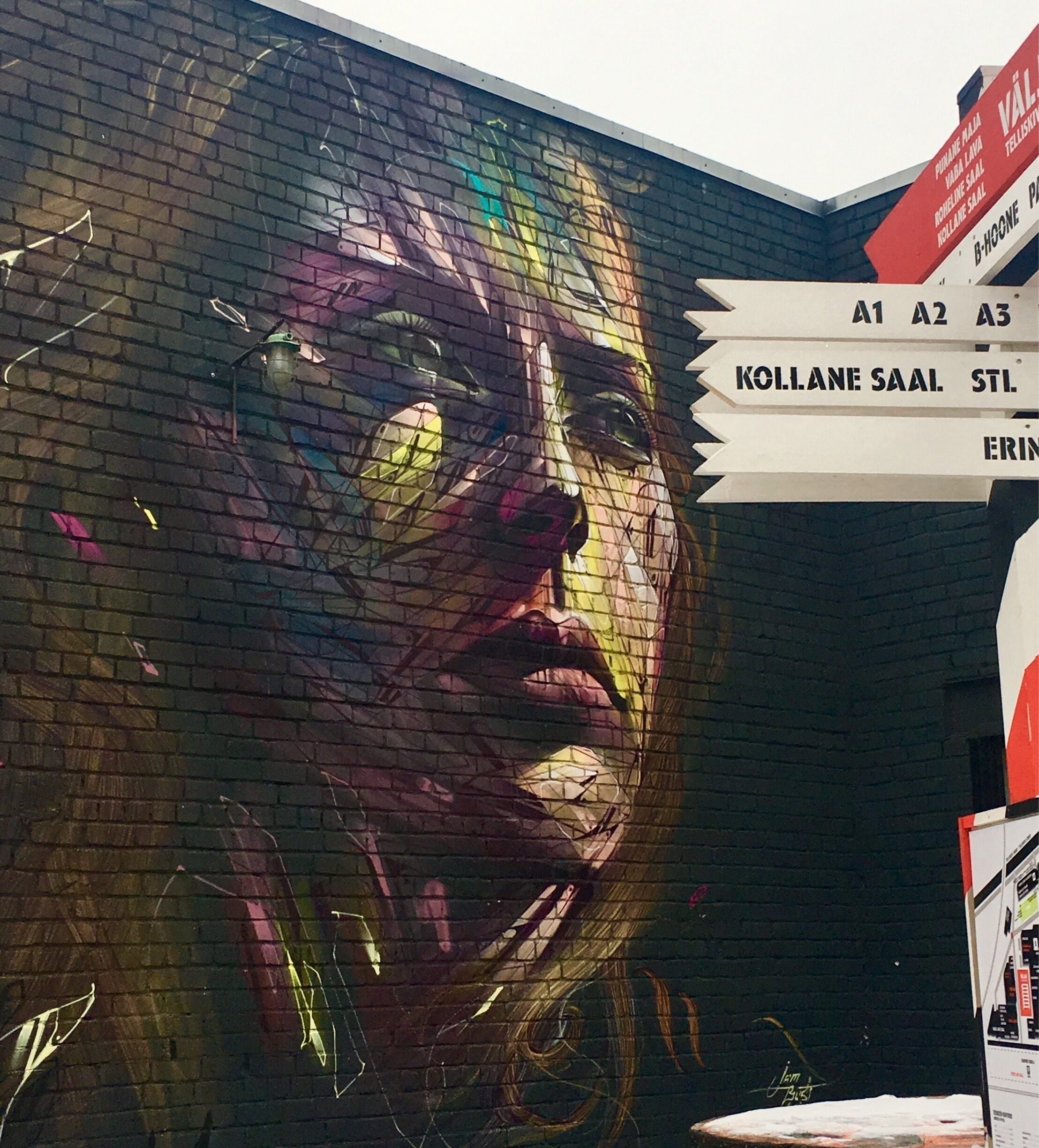 #Urbanjungle #tallinn This is Telliskivi Creative City, a very short walk from Tallinn main square, just outside the walls, next to the train station. It’s a former industrial complex with  14 design and nature stores, 8 unique restaurants, and a bakery in the Creative City. The Telliskivi Outdoor Gallery is open round the clock and you can also admire the street art throughout the day.
The Indian restaurant there served the best Indian food I have tasted outside if India! 
