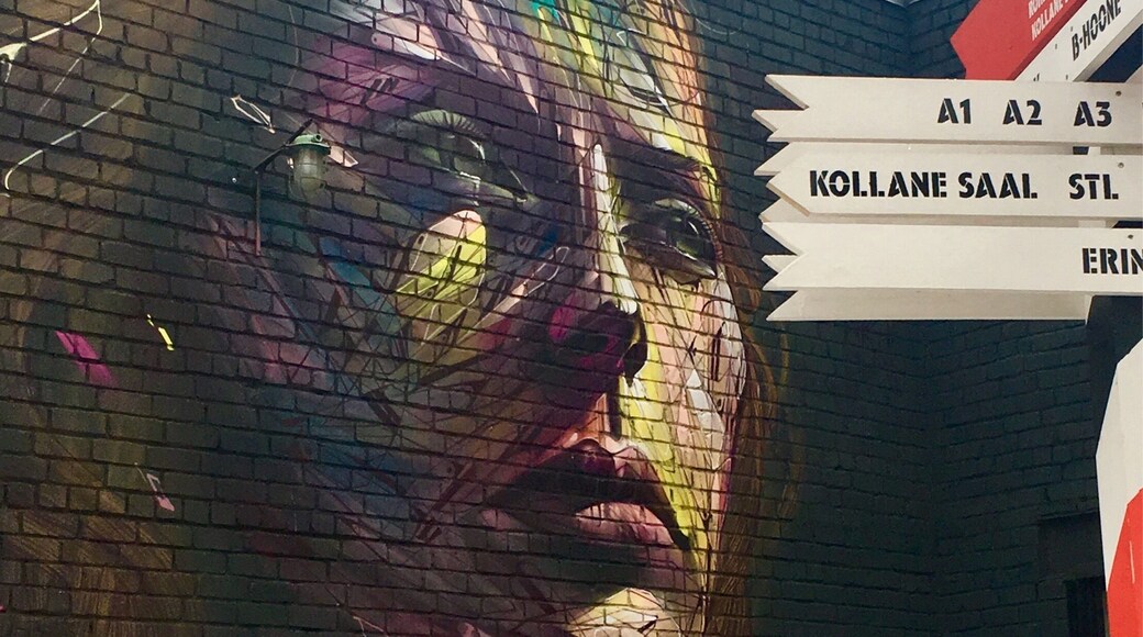 #Urbanjungle #tallinn This is Telliskivi Creative City, a very short walk from Tallinn main square, just outside the walls, next to the train station. It’s a former industrial complex with 14 design and nature stores, 8 unique restaurants, and a bakery in the Creative City. The Telliskivi Outdoor Gallery is open round the clock and you can also admire the street art throughout the day.
The Indian restaurant there served the best Indian food I have tasted outside if India!