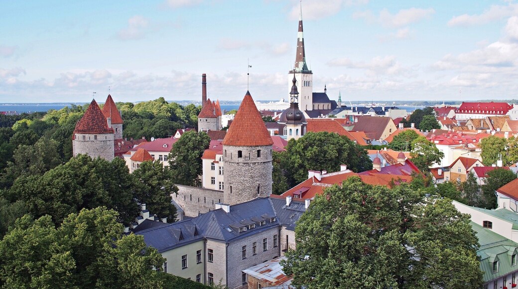 Beautiful view over Tallinn's old city walls on a summer day. The medieval entrances and walls around Tallinn old city are mostly still intact, creating a real historic feel to the city.
The old city used to be an important hanseatic trading place during 13th-16th centuries. Today, it is a UNESCO world heritage site and a popular place among history lovers.
#UrbanJungle