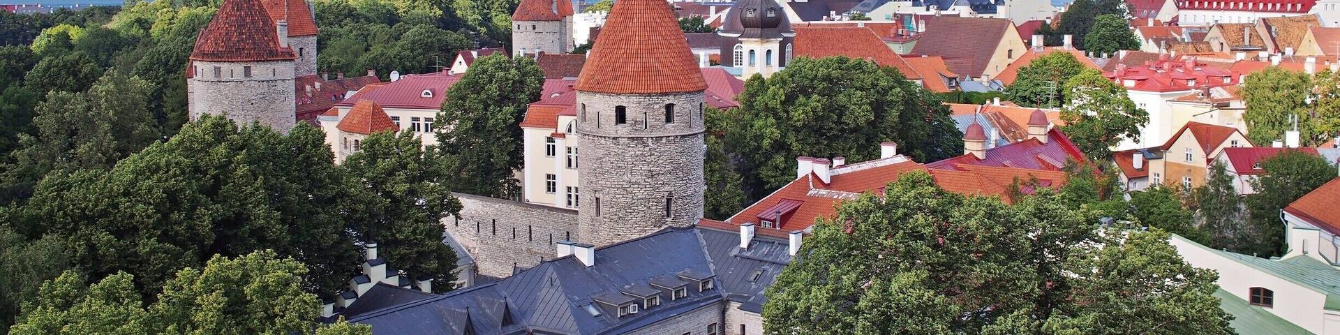 Beautiful view over Tallinn's old city walls on a summer day. The medieval entrances and walls around Tallinn old city are mostly still intact, creating a real historic feel to the city.
The old city used to be an important hanseatic trading place during 13th-16th centuries. Today, it is a UNESCO world heritage site and a popular place among history lovers.
#UrbanJungle