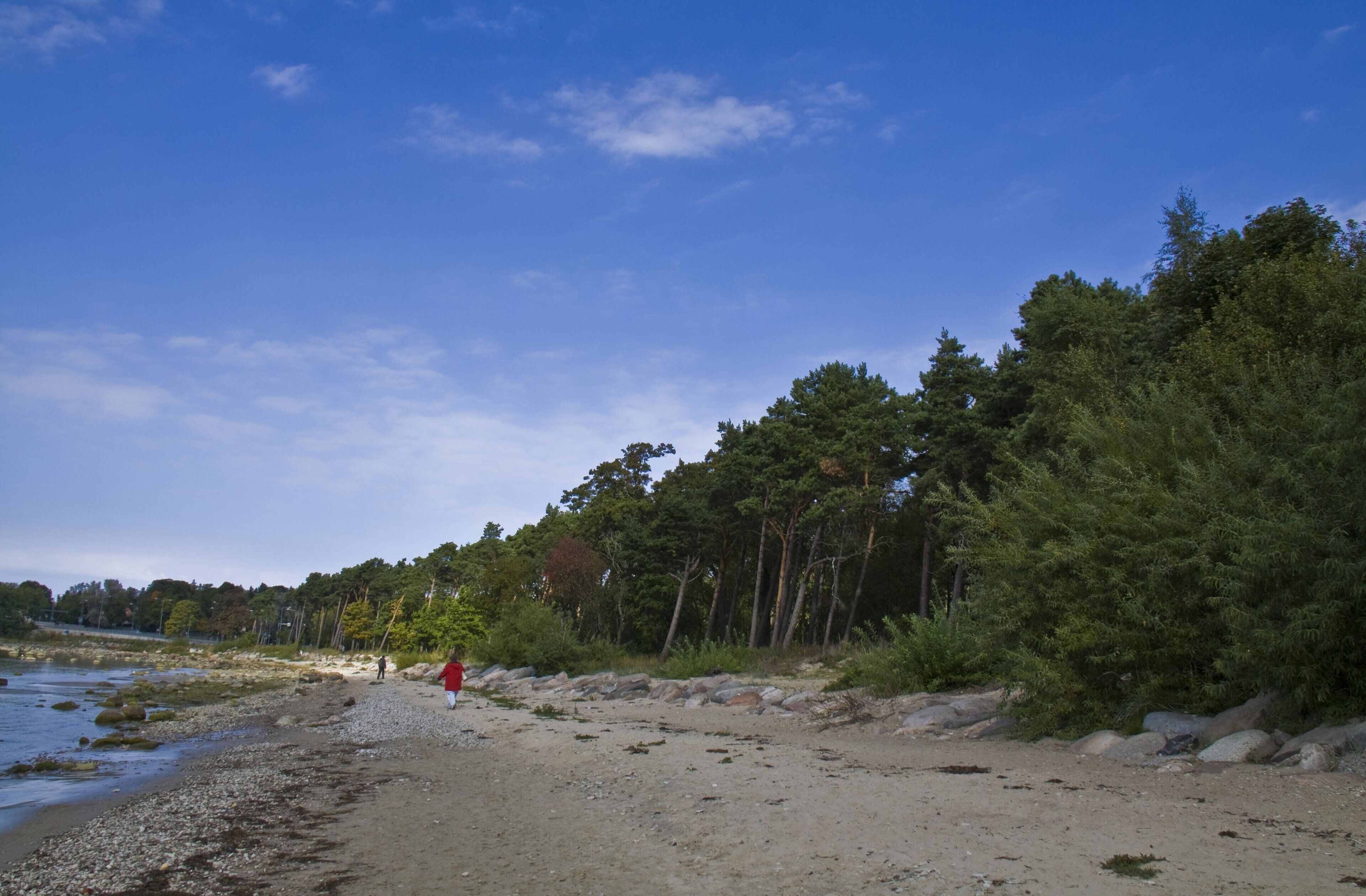 A beach with a person in red, rocky shoreline, and dense forest.