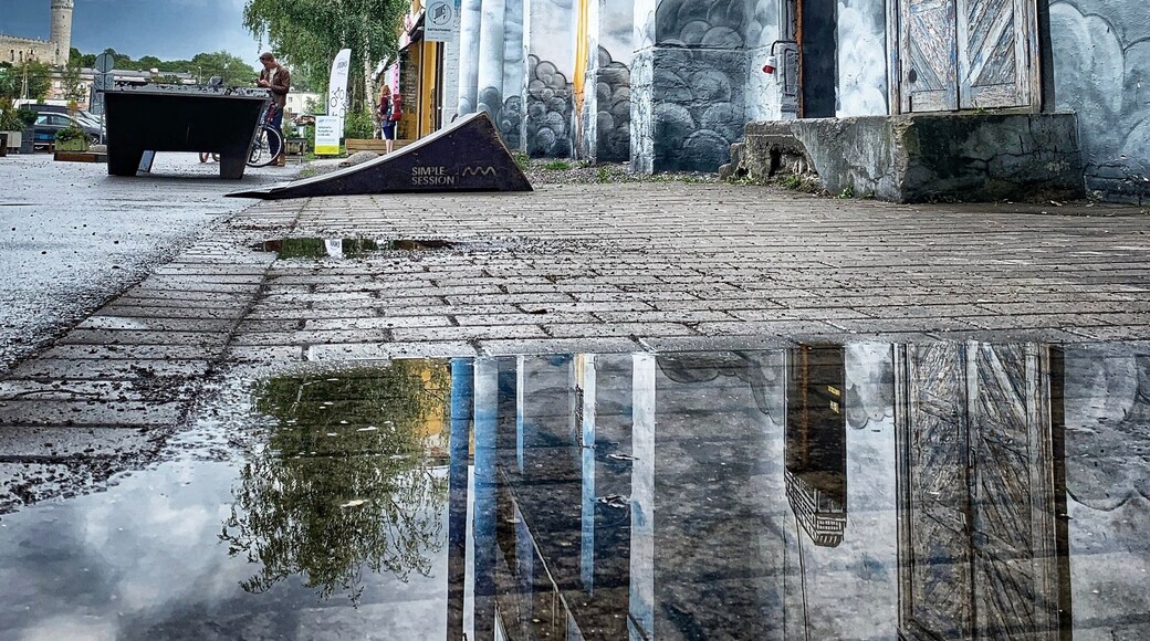 Tallinn’s “hipster” neighborhood, that’s what the locals refer to it as, but this is officially called “Telliskivi Creative City”.
Located in a former industrial complex, it’s the creative centre of Tallinn, and the largest creative centre in Estonia, consisting of studios, creative companies, and offices of NGOs. And of course, my favorite part: restaurants & bars built inside of shipping containers, old train cars, & food trucks, etc... 😁
⠀⠀⠀⠀⠀⠀⠀⠀⠀
#estonia #tallinn