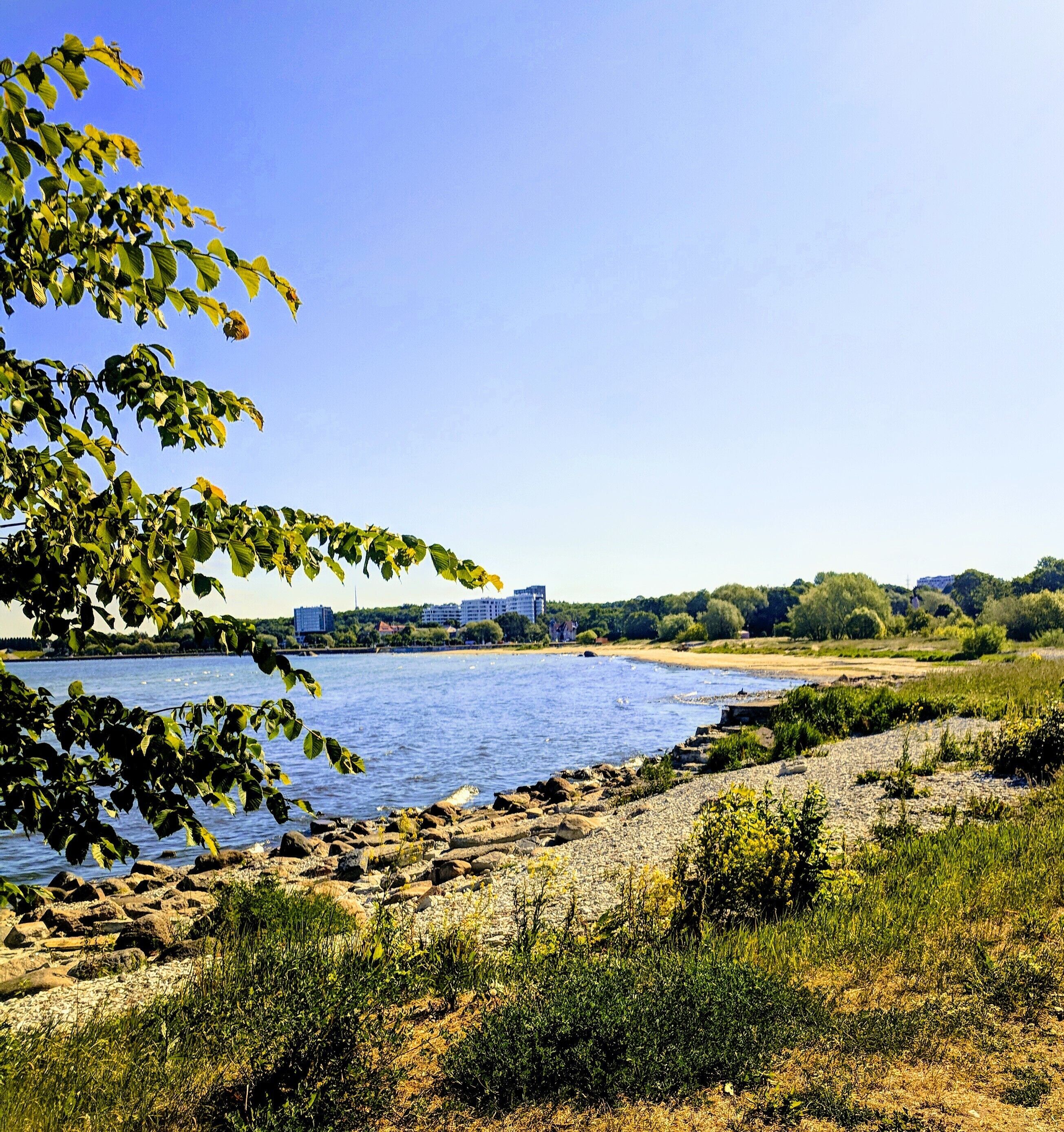 A riverbank with a rocky shoreline, greenery, and buildings in the background.