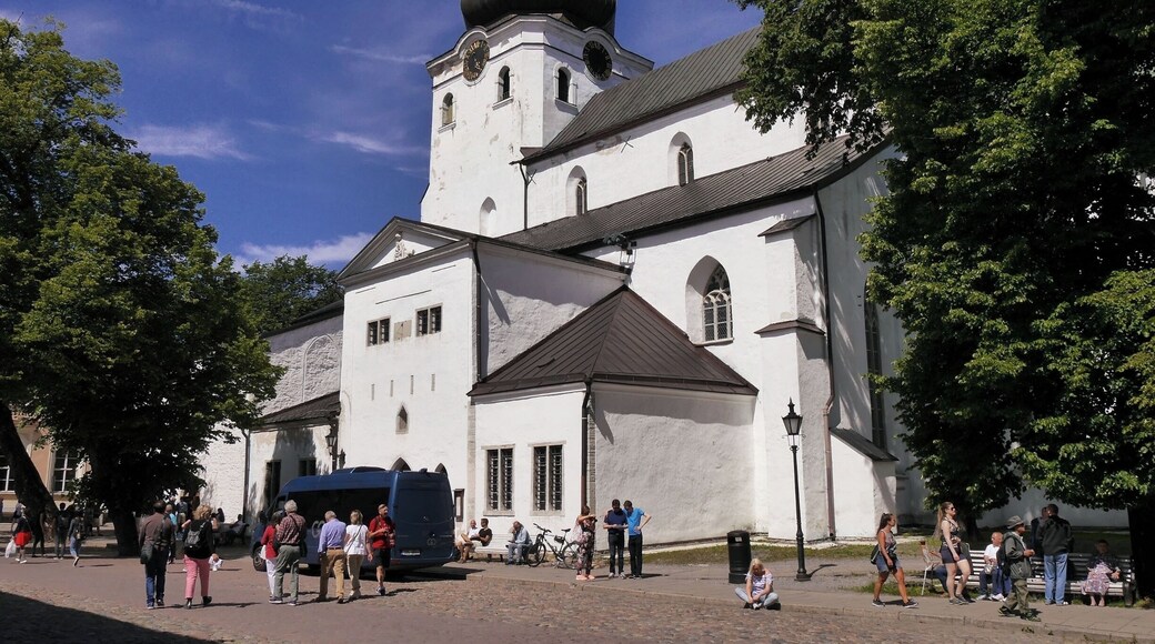 St Mary's Cathedral, the oldest church in Estonia.