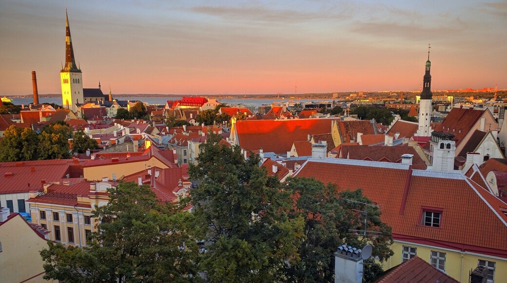 Fairy tale town of Tallinn just minutes ago.