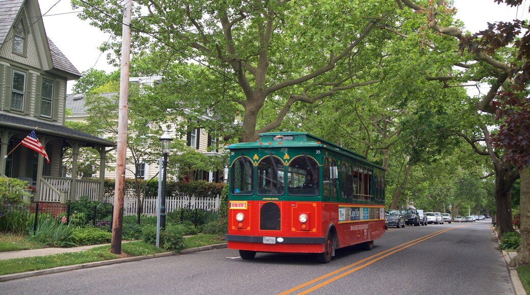 Cape May - Wildwood featuring a house