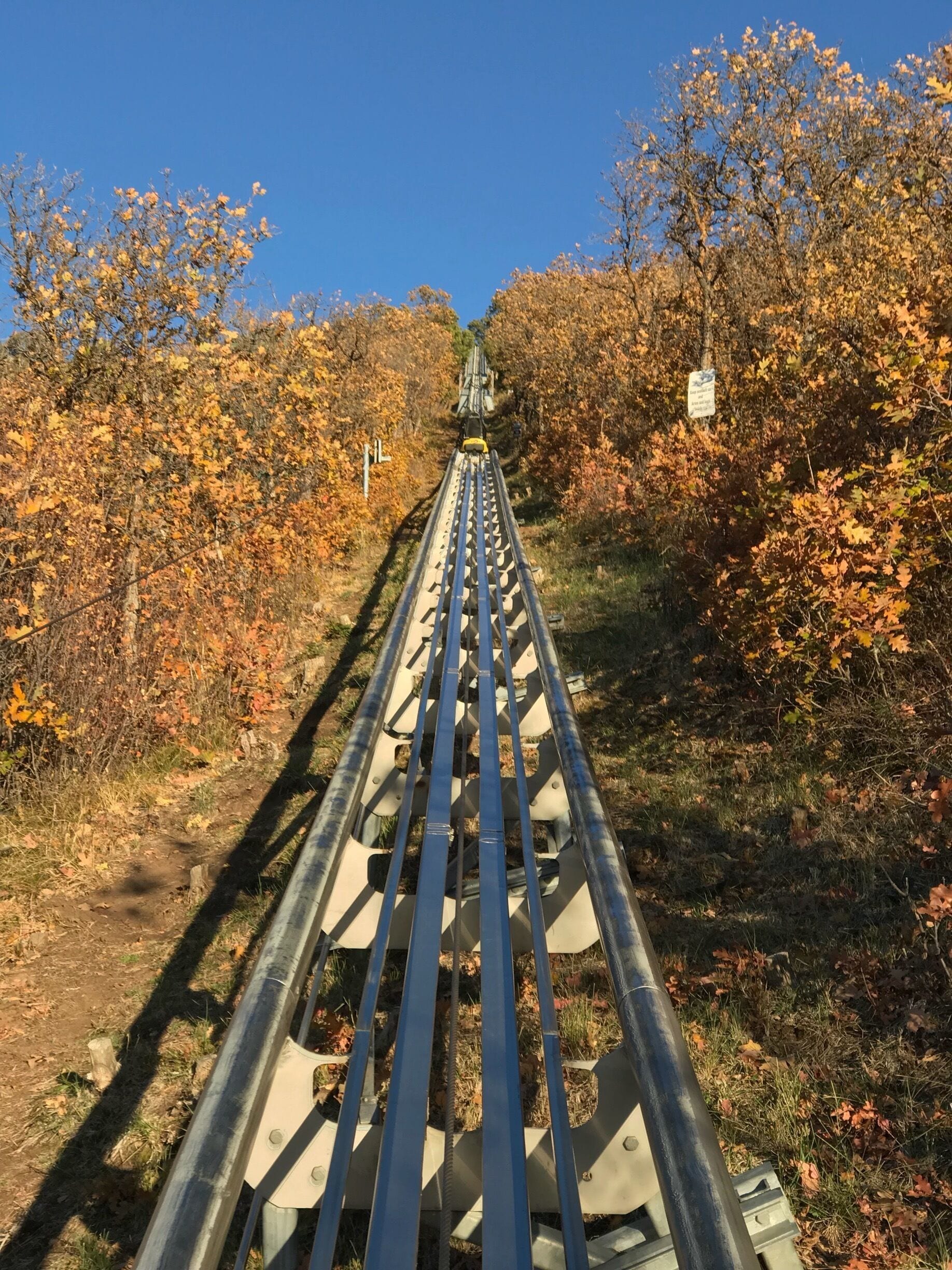 Alpine roller coaster fun.