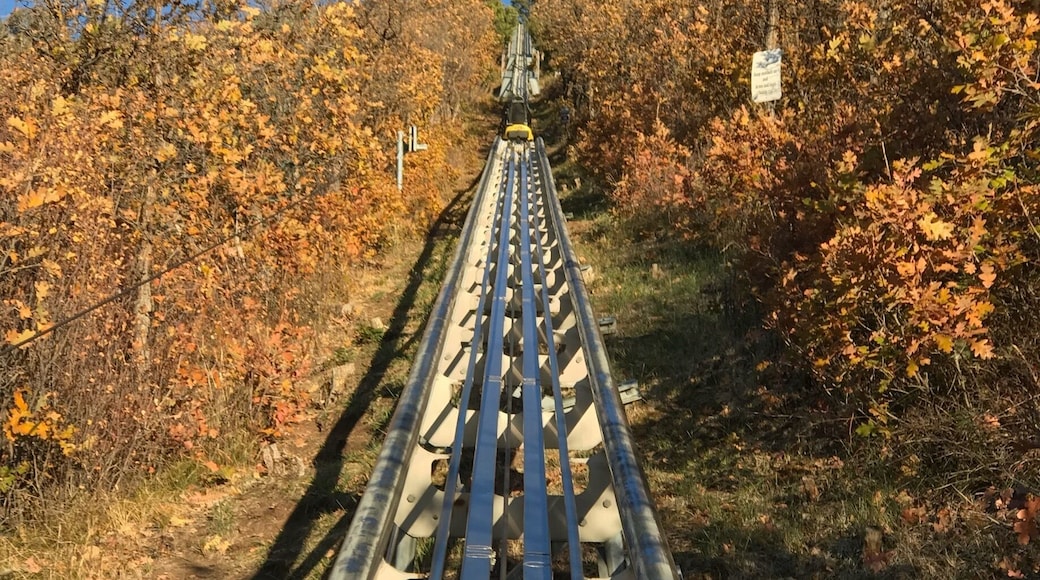 Alpine roller coaster fun.