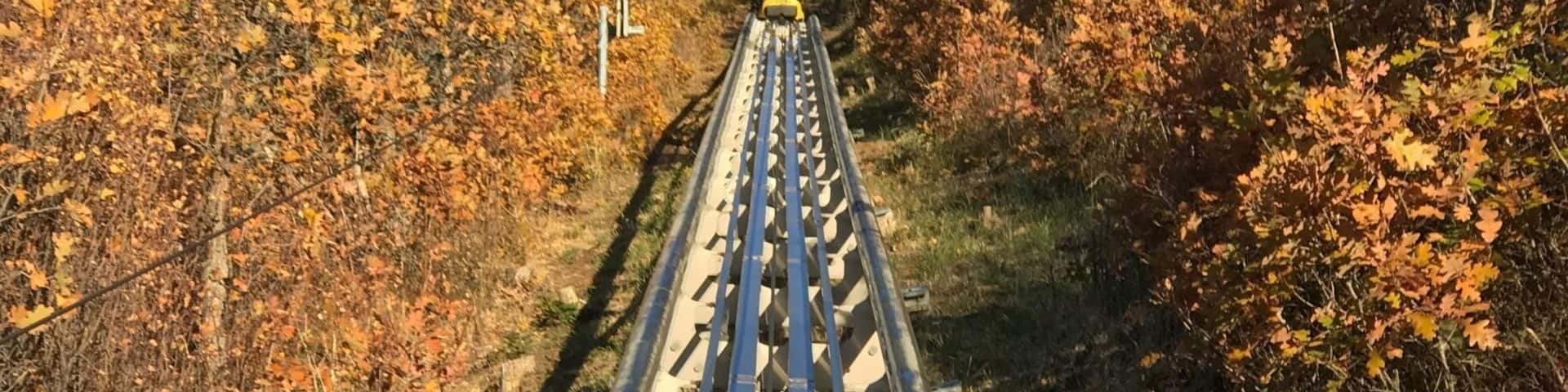 Vías de tren rodeadas de follaje otoñal.