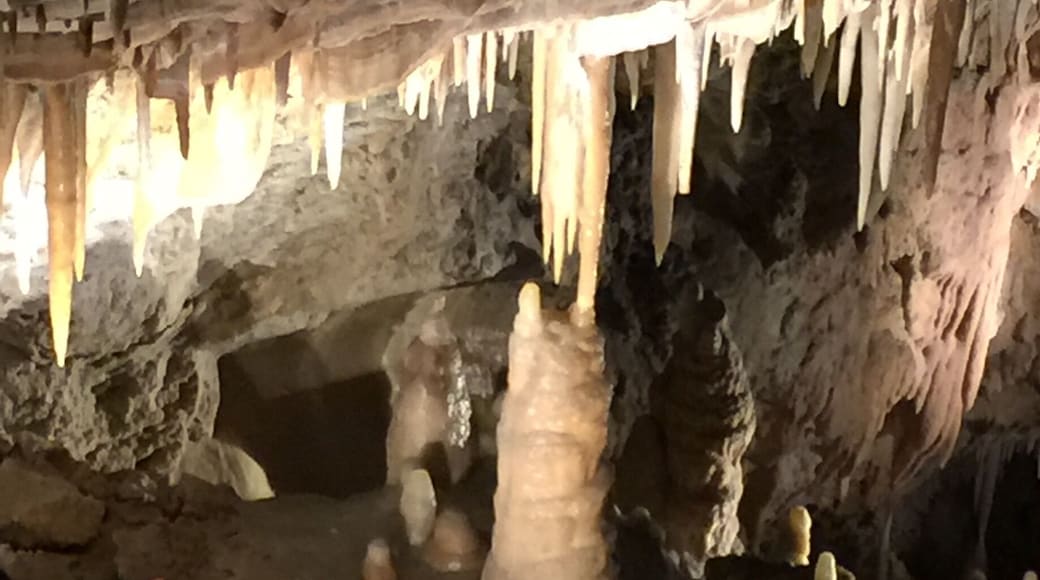 2nd largest cavern in Colorado.
