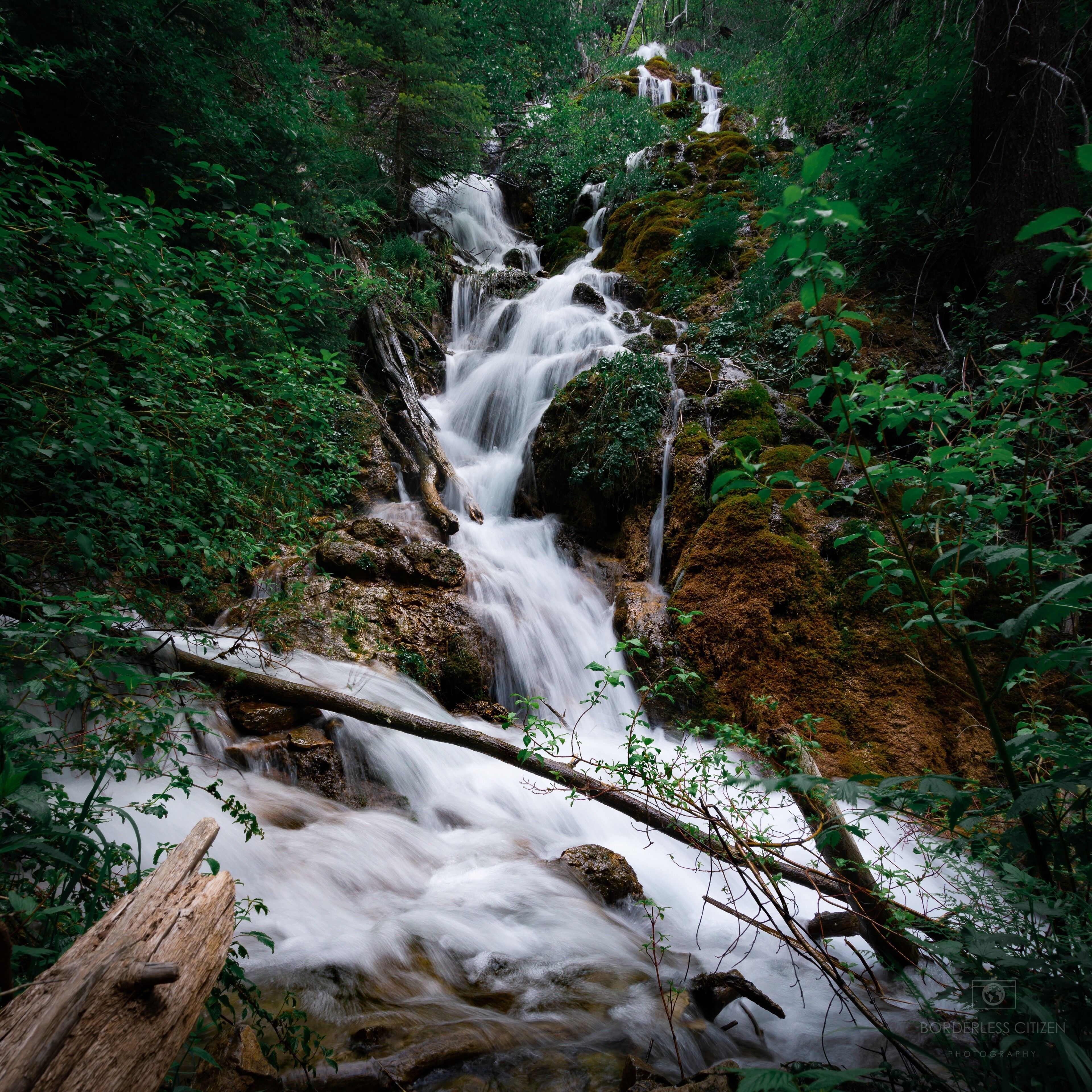 Not only the lake is gorgeous on this hike.