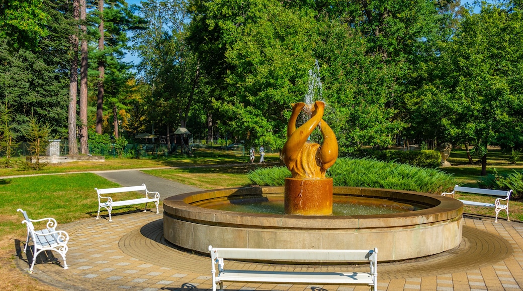 Fountain at Frantiskovy Lazne, Czech republic