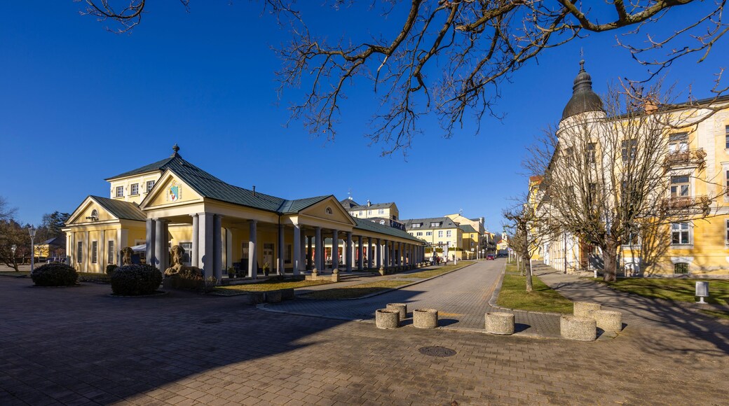 Františkovy Lázně