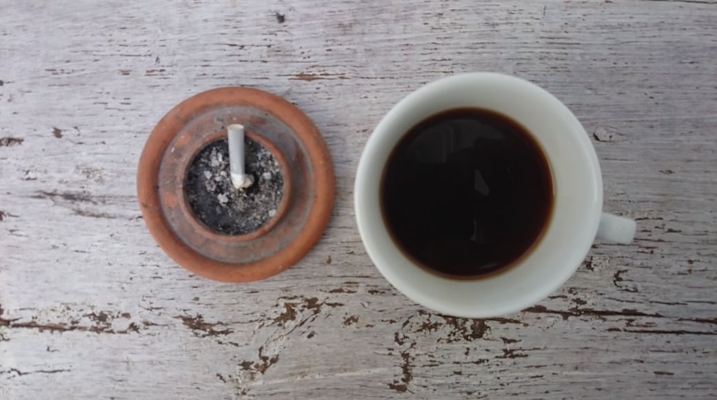 Artisan coffee hunter, roaster and blender ☕